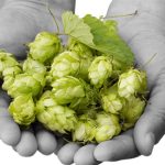 Qué es el dry hopping