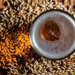 La importancia de la malta en la elaboración de cerveza