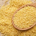 Sorgo