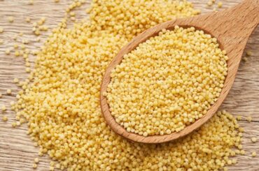 Sorgo