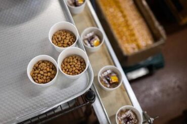 Natto, el alimento japonés de soja fermentada que se populariza en todo el mundo